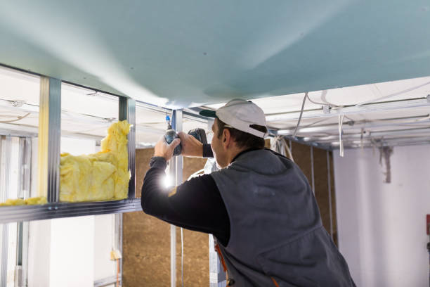 Best Insulation Installation Services in Goodman, MO