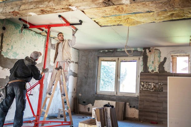 Best Residential Insulation in Goodman, MO