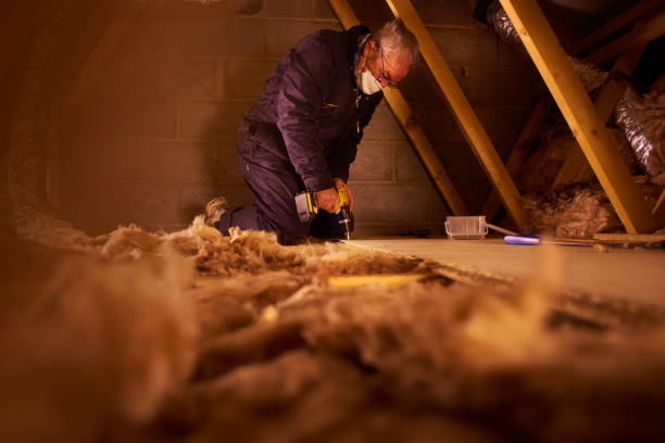 Best Specialty Insulation in Goodman, MO