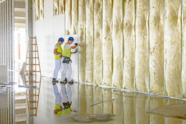 Best Insulation for Specific Applications in Goodman, MO